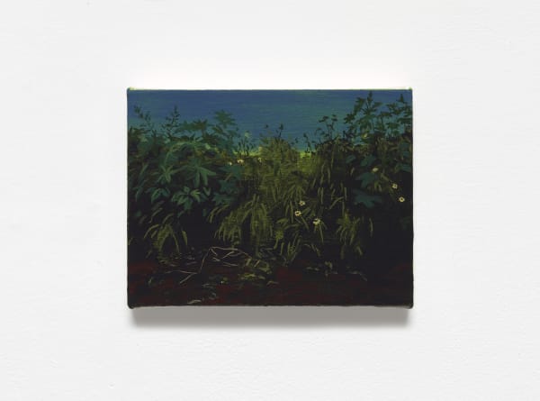 Charis Ammon, Before the Bayou, 2021