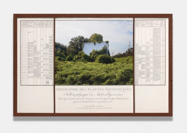 Linarejos Moreno, On the Geography of Green I-I on Alexander von Humboldt and Aime Bonpland Géographie des Plantes Équinoxiales, 2016/2021