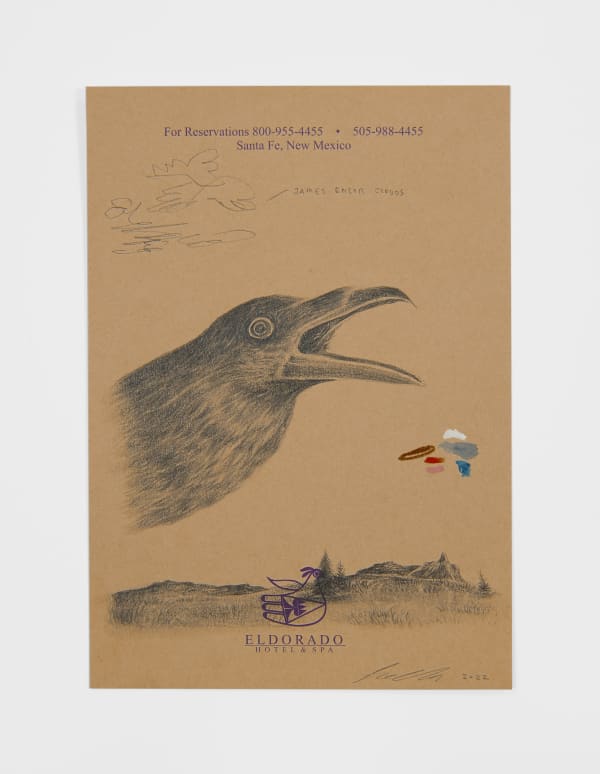 Robyn O'Neil, El Dorado / Crow, 2021