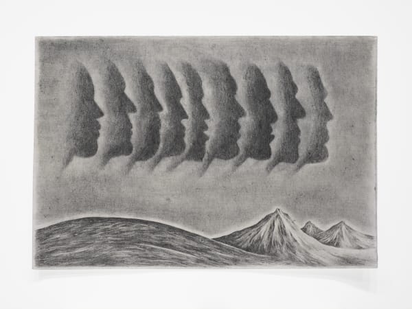 Robyn O'Neil, War and Hospitals, 2020