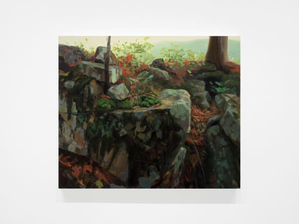 Kristin Musgnug, Devil’s Den Rocks, 2013