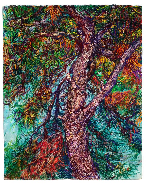 Beth Secor, Scotch Pine, Winter 2013, 2013