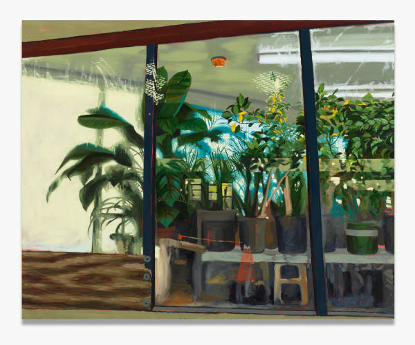 Charis Ammon, Nelly's, 2025