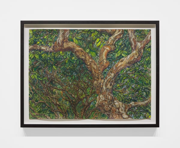 Beth Secor, Natchez Pines, between the Bayou and the Loading Dock, 2015