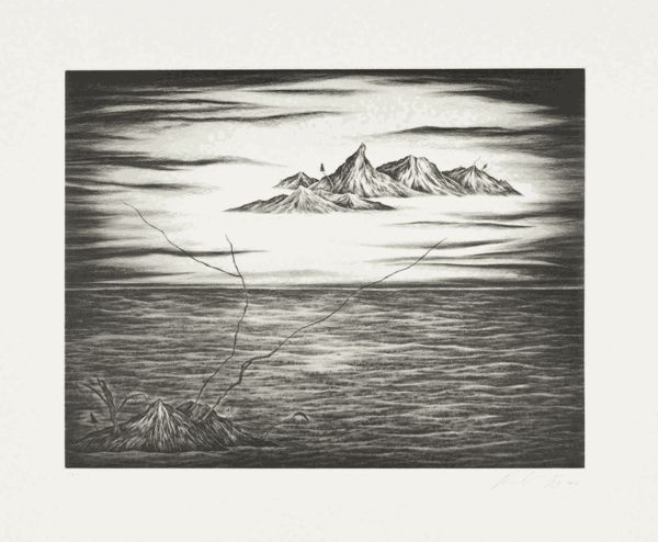 Robyn O'Neil, Covenant Trace, 2013