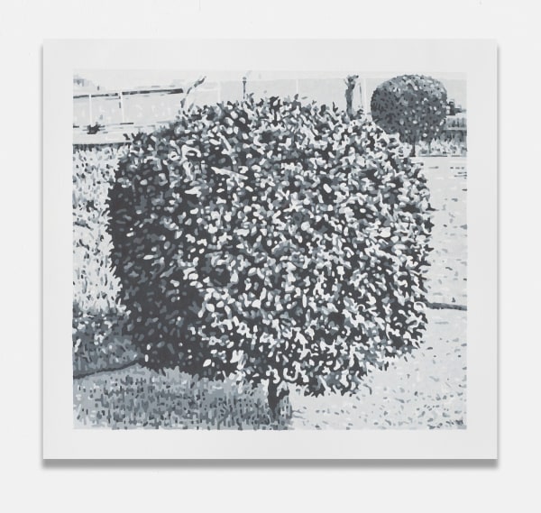 Jim Richard, Outskirts: Tidy, 2023