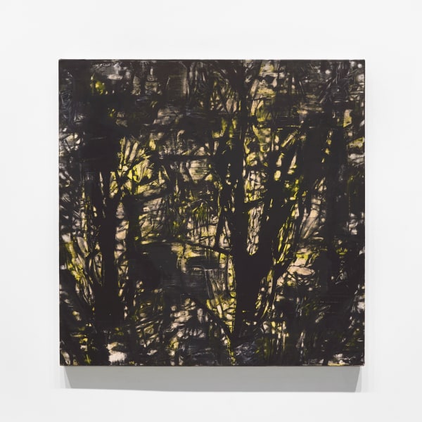 Gilad Efrat, Tamarisk, 2012
