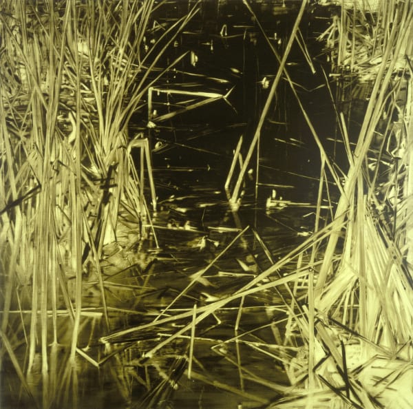 Gilad Efrat: New Paintings