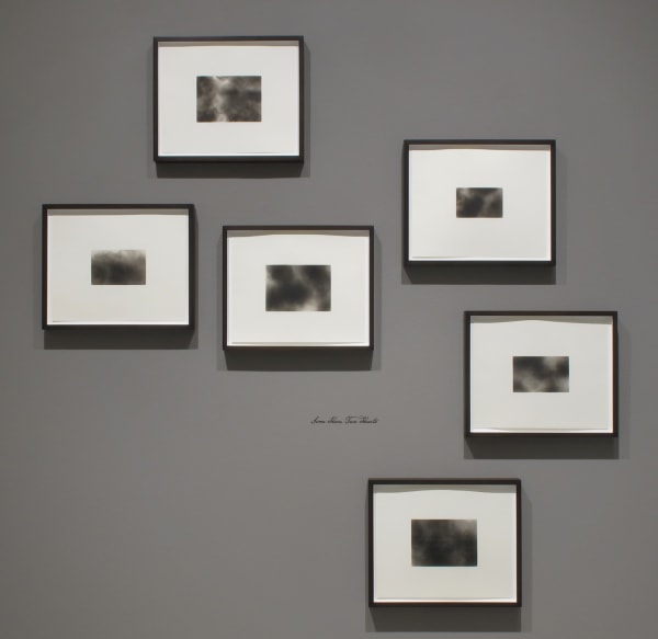 Chazen Museum of Art University of Wisconsin–Madison, Dario Robleto