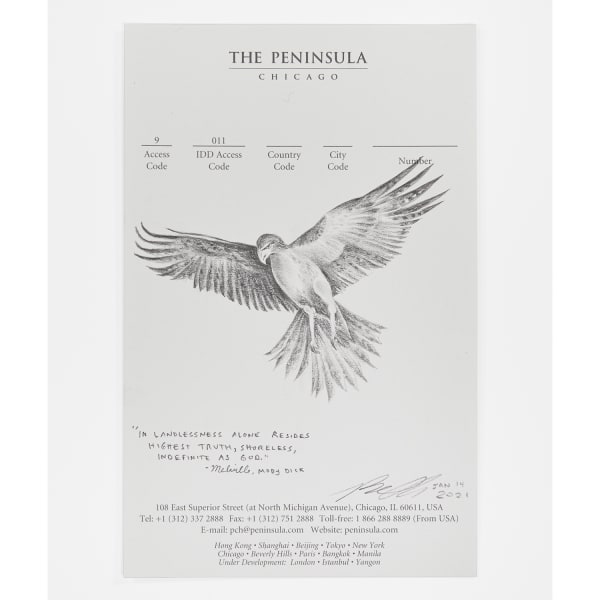 Robyn O'Neil, The Peninsula - Eagle, 2021