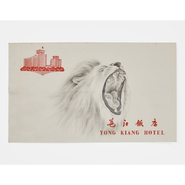 Robyn O'Neil, Yong Kiang Hotel – Lion, 2021