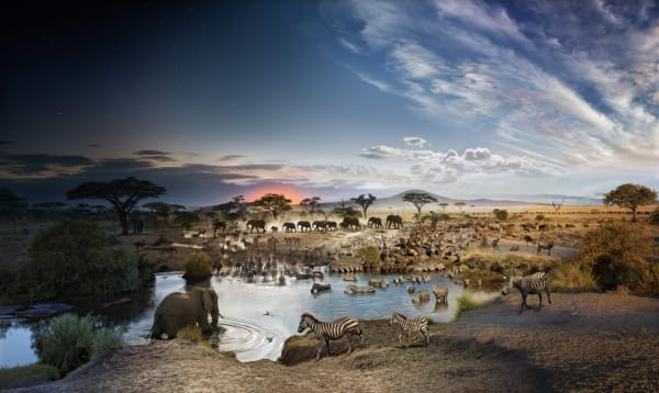 Stephen Wilkes Serengeti National Park, Tanzania, Day to Night, 2015 Signed on label verso 24 x 40 inch archival pigment print Edition of 50 32 x 54 inch archival pigment print Edition of 20 48 x 81 inch archival pigment print Edition of 12