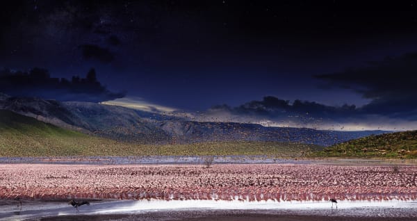 Stephen Wilkes Lesser Flamingos, Lake Bogoria Kenya, Africa, Day to Night, 2017 Signed on label verso 24 x 45 1/2 inch archival pigment print Edition of 20 34 x 64 inch archival pigment print Edition of 15 50 x 94 inch archival pigment print Edition of 12 60 x 113 inch archival pigment print Edition of 2
