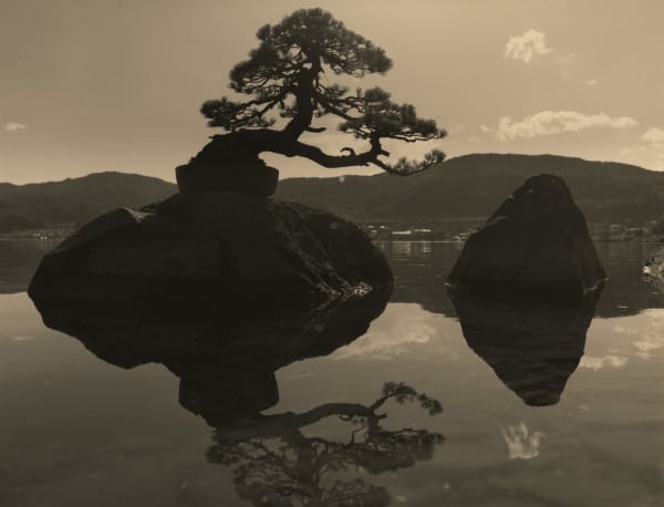 Yamamoto Masao Bonsai & Ambrotypes