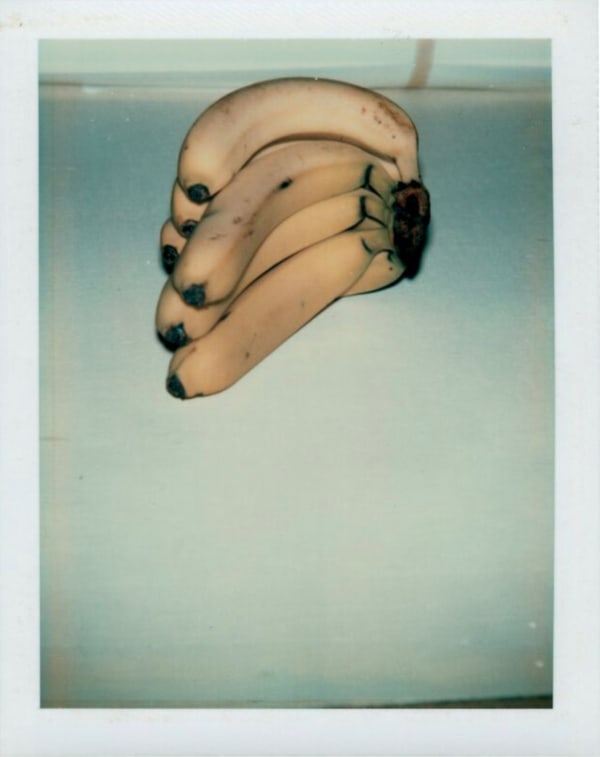 Andy Warhol | Photographs: Polaroids & Silver