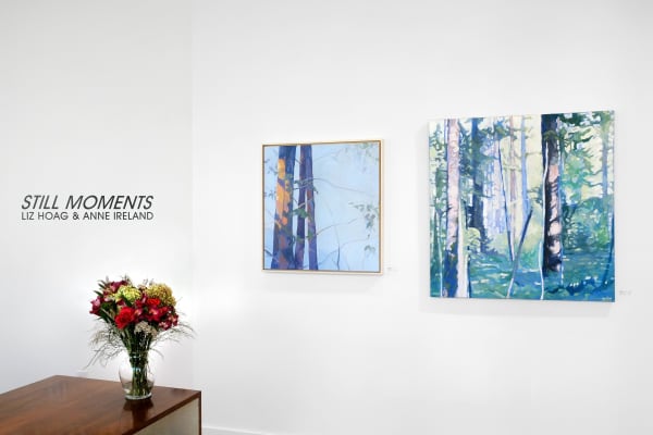 Hoag Ireland Install 10