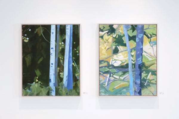 Hoag Ireland Install 4