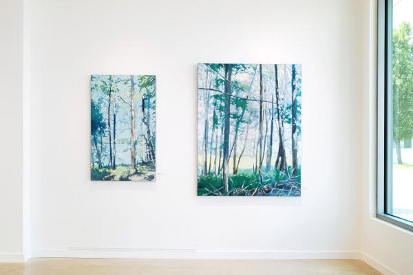 Hoag Ireland Install 5