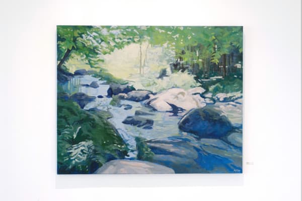 Hoag Ireland Install 7