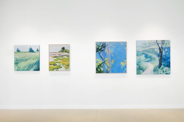 Hoag Ireland Install 8