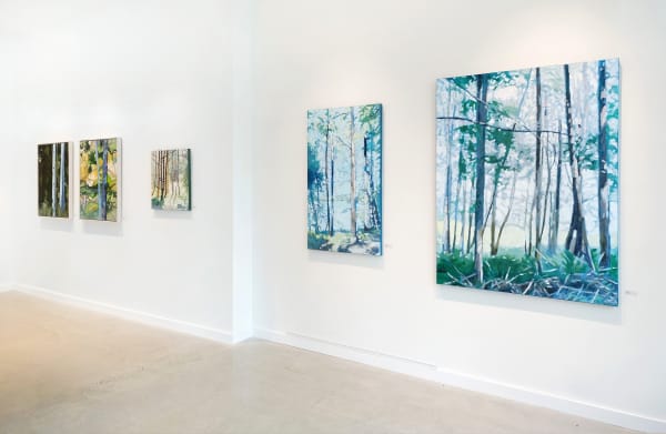 Hoag Ireland Install 9