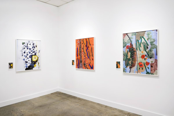 Marasco Mydrexlers 5