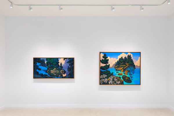 Meyer Sunrise Install 4