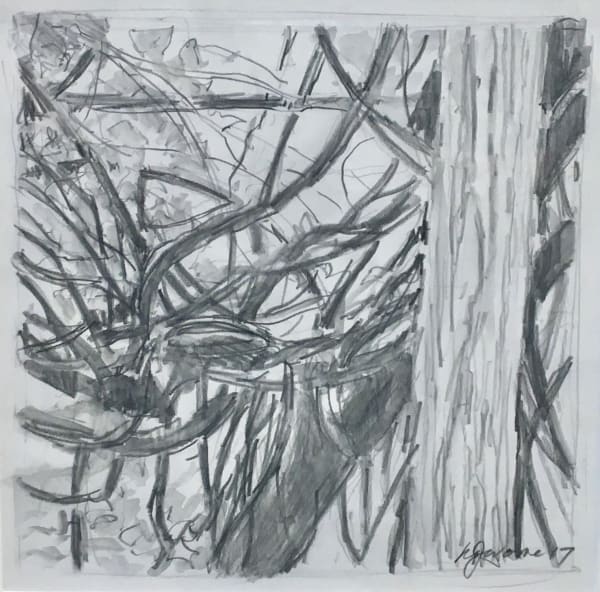 Jerome Entangled Study