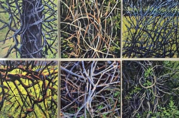 Jerome Springvinesequence