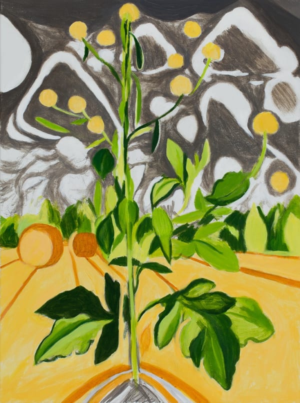 John Knight: Sunlight on Sweet Clover