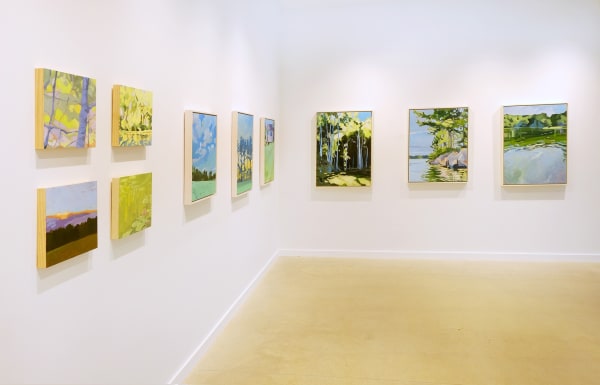 Anne Ireland: New Works