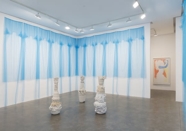 Installation view from Beverly Semmes's exhibition at Susan Inglett Gallery