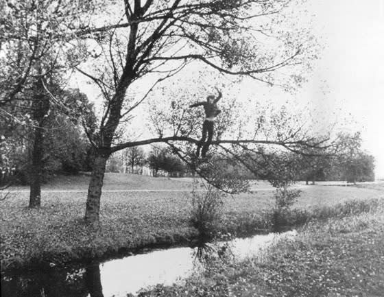 Bas Jan Ader falls from a tree branch into the water
