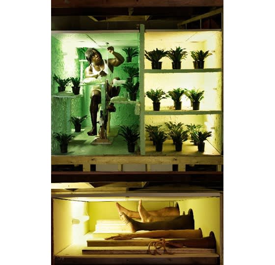 Divide into three sections, one with man an plants, one with plants, and one with legs sticking out of the wall