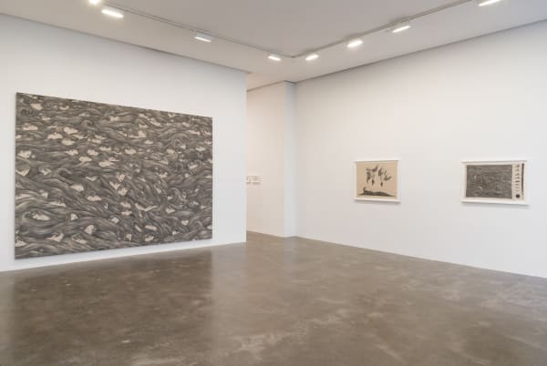 Main gallery installation view of Robyn O'Neil's exhibition showing the large graphite on canvas drawing  American Animals