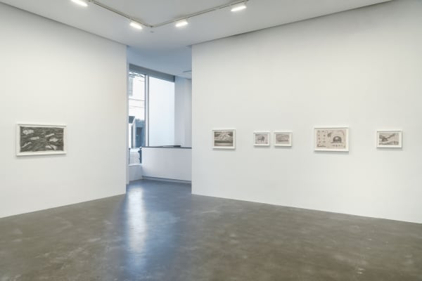 Main gallery installation view of Robyn O'Neil's exhibition American Animals