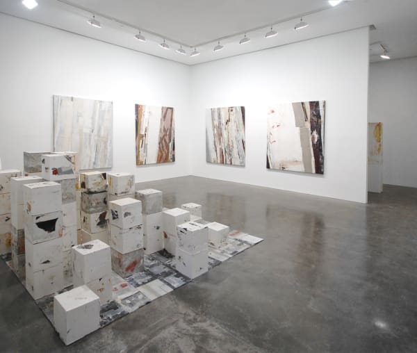 Installation view of Ryan Wallace paintings and sculptures at Susan Inglett Gallery