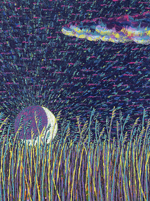 A cloud, a moon, and grass