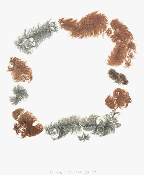 Drawing by Shubuck of a ring of brown smudges