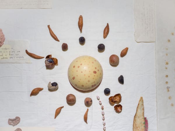 Assemblage Bed One (2014-2024)