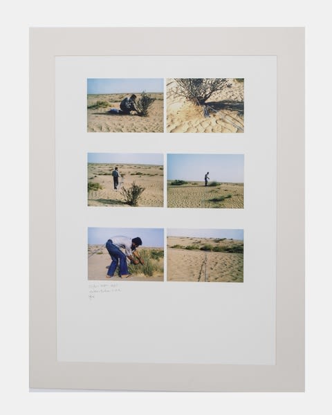 Musée d'art moderne et contemporain, Geneva