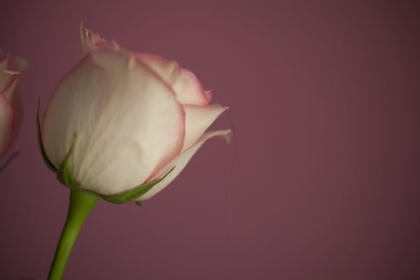 MACBA: Museu d'Art Contemporani de Barcelona