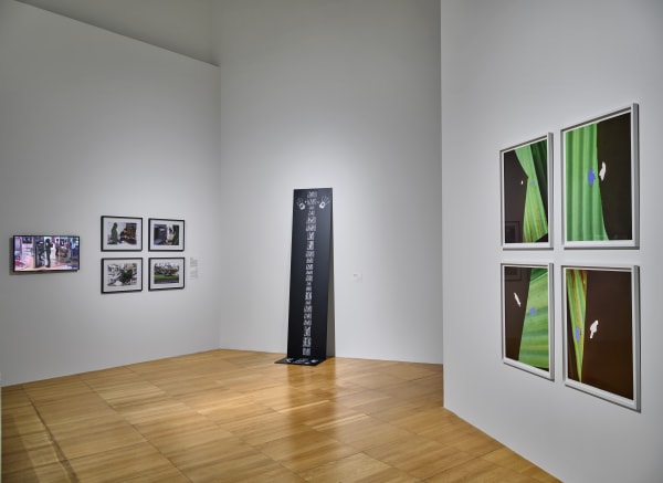 Photo: John Varghese. Courtesy of The NYUAD Art Gallery