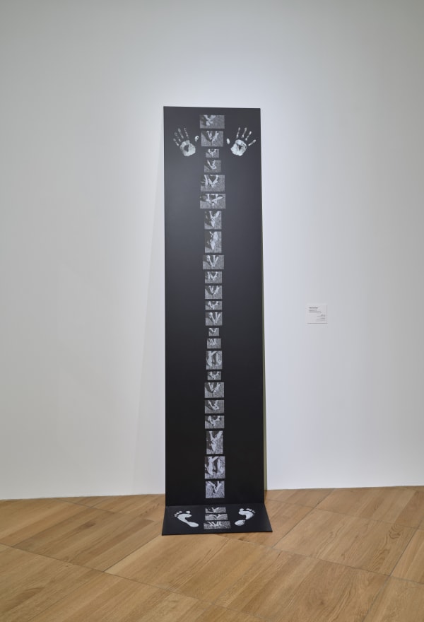 Photo: John Varghese. Courtesy of The NYUAD Art Gallery
