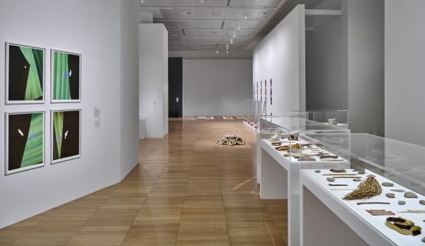 Photo: John Varghese. Courtesy of The NYUAD Art Gallery