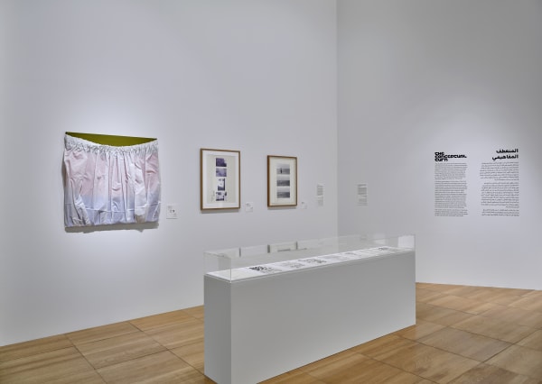 Photo: John Varghese. Courtesy of The NYUAD Art Gallery