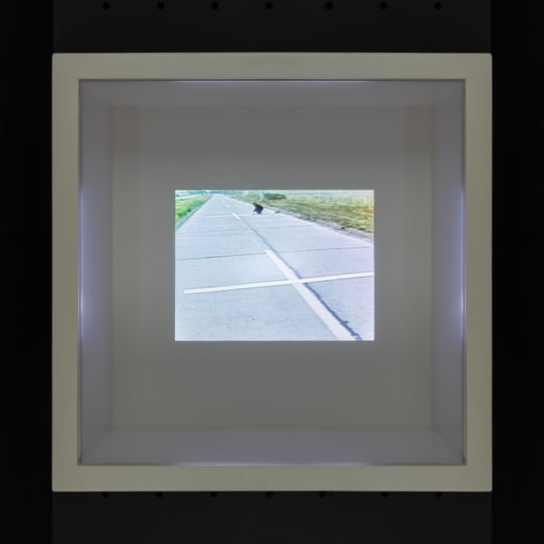 Lotty Rosenfeld Una milla de cruces sobre el pavimento