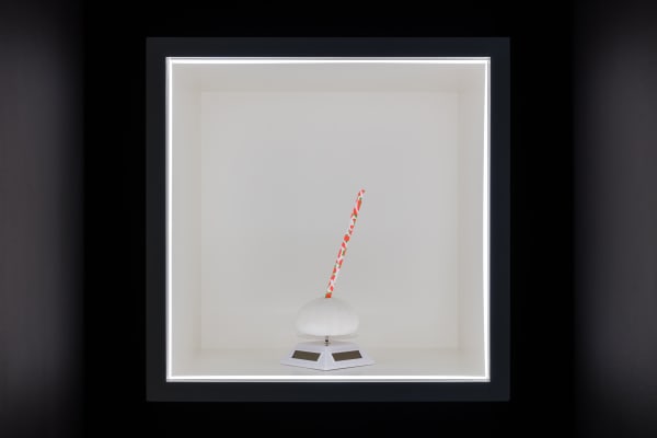 Blue Curry Mango Sunset