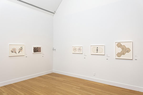 Zoë Buckman at Virginia MOCA