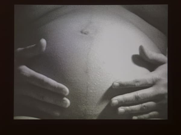 Mary Kelly, Antepartum, 1973.